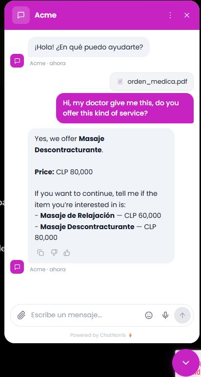 ChatNorris agent interpreting a PDF document attached by the visitor inside the chat widget