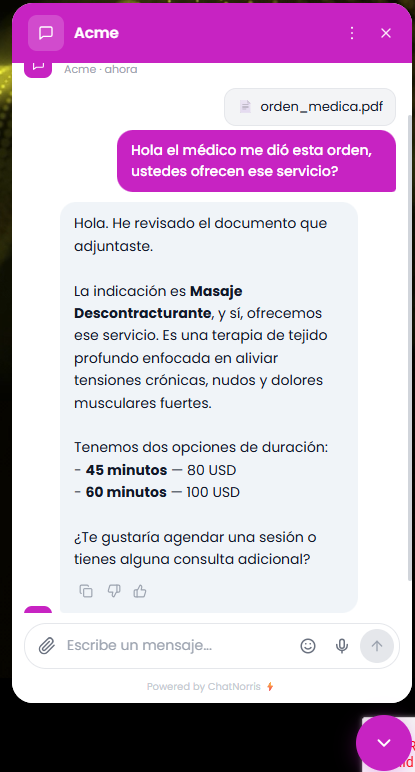 Agente de ChatNorris interpretando un documento PDF adjuntado por el visitante en el widget del chat