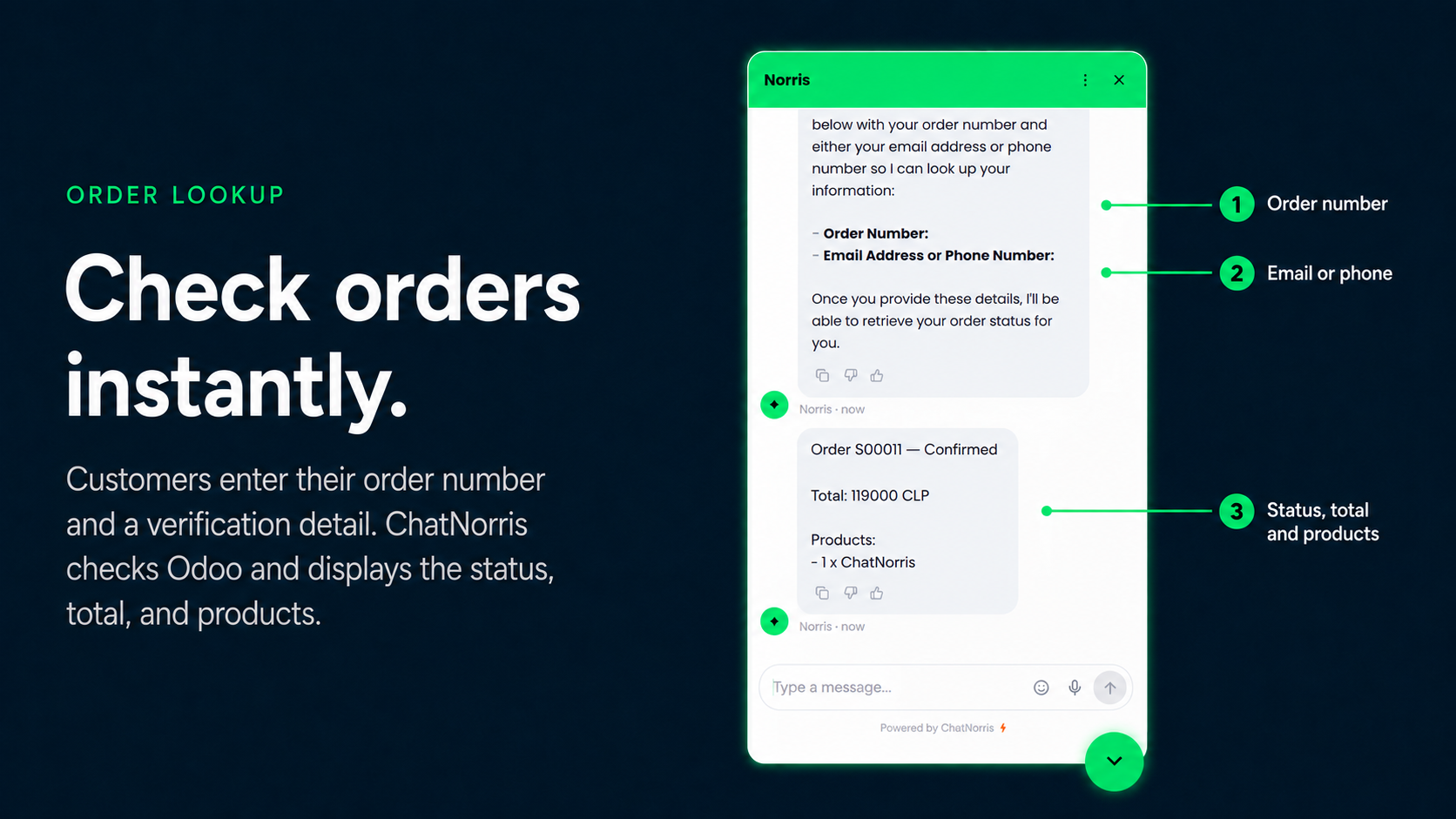 Order status lookup form inside the ChatNorris widget