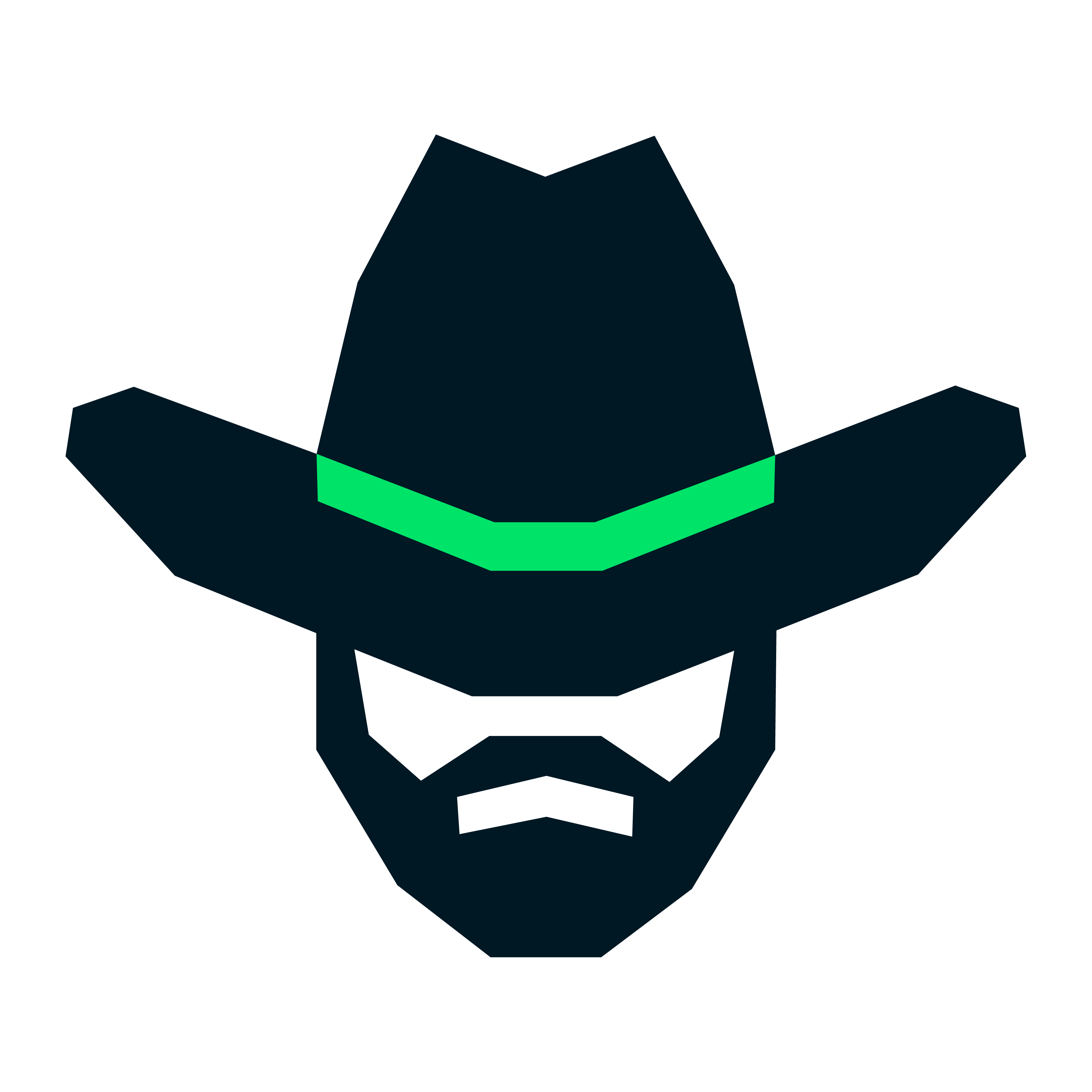 ChatNorris logo